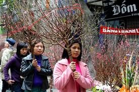 ベトナム正月テトの花市場